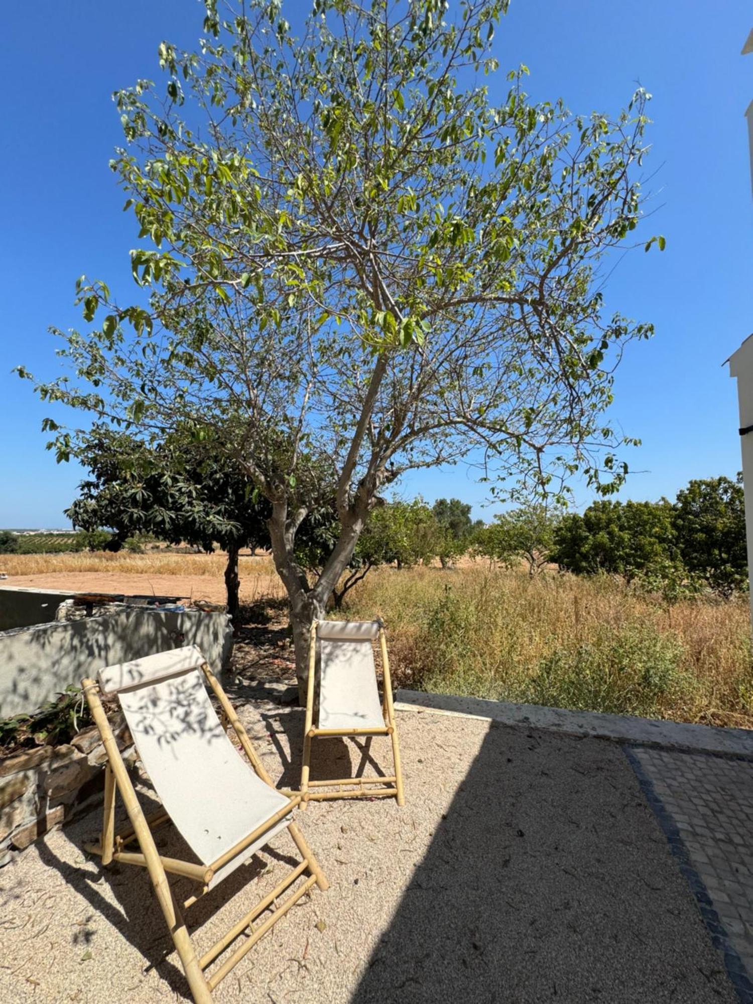 Villa Quinta Castor Vila Nova de Cacela Exterior foto