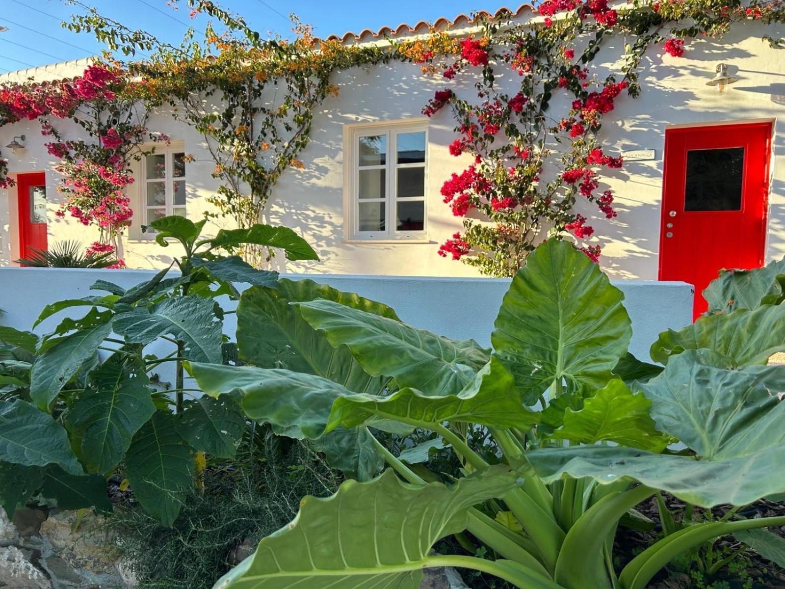 Villa Quinta Castor Vila Nova de Cacela Exterior foto